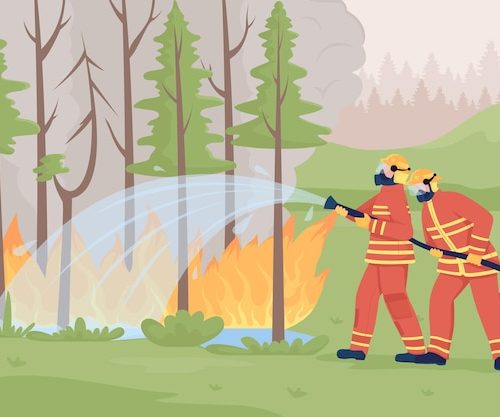 О недопущении пожаров в экосистеме