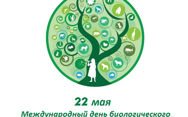 biol_2 22 мая — Международный день биологического разнообразия