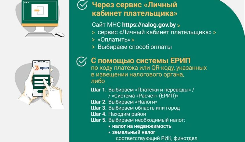 06-10-23-20 15 ноября — срок уплаты имущественных налогов