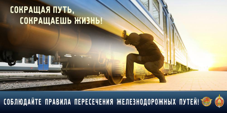 С 01 по 28 февраля на территории Гомельской области проводится комплекс профилактических мероприятий