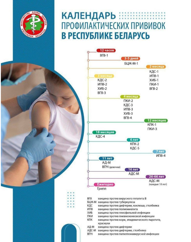 Календарь профилактических прививок Республики Беларусь